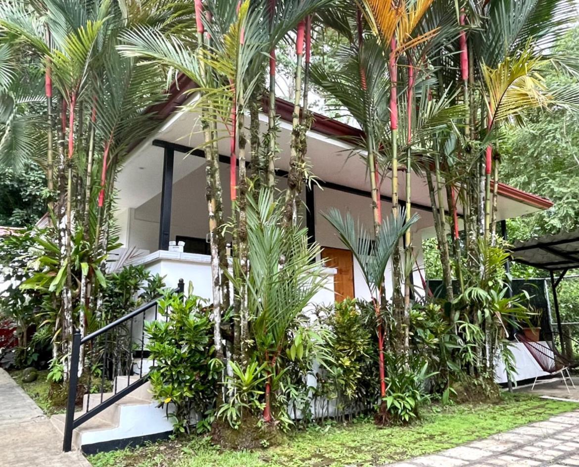 The Scarlet Villas Ojochal Bagian luar foto