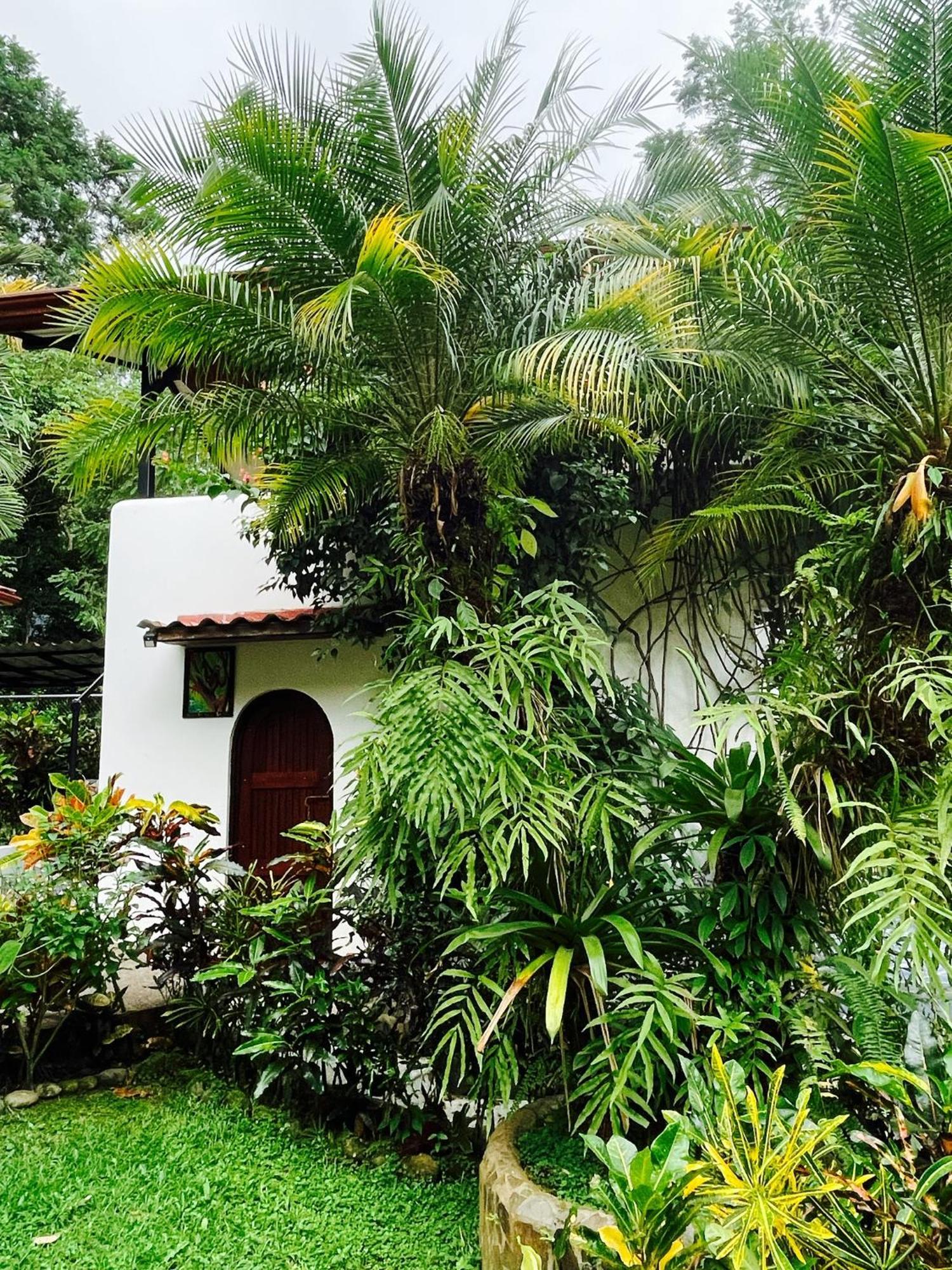 The Scarlet Villas Ojochal Bagian luar foto